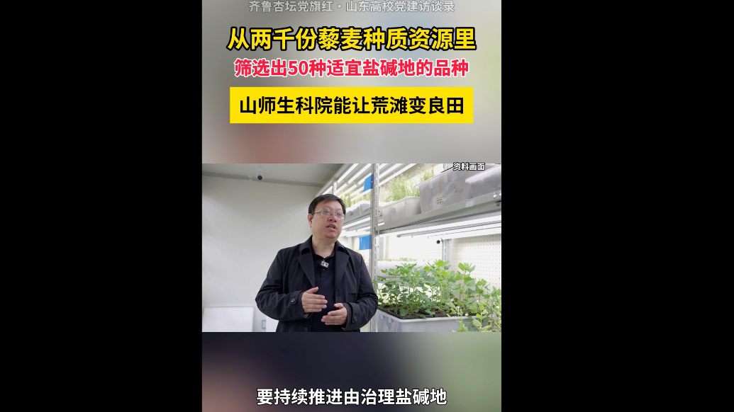 盐碱地里也能长藜麦！山师让荒滩变“粮仓”