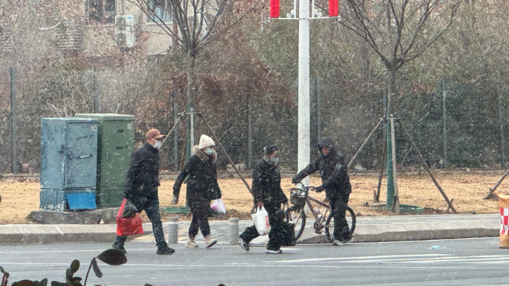 果然视频丨下雪啦！受冷空气影响，青岛迎入冬来最冷白天