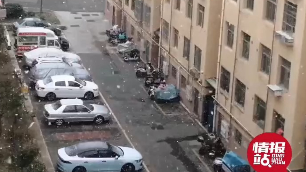 天气情报站|雪窝发威！威海市区再迎降雪，雪花漫天似蝶舞