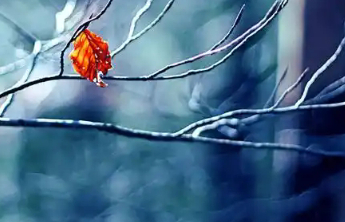 天冷了，为了家人健康，中疾控劝你每天做这件事