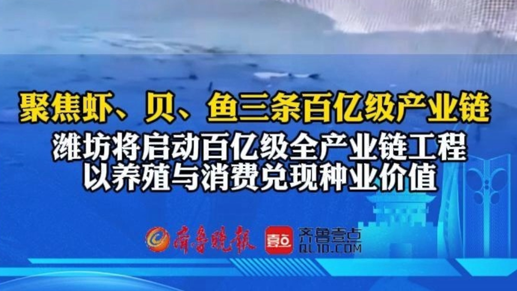 果然视频|潍坊集中力量实施虾、贝、鱼3条百亿级全产业链工程