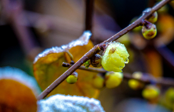 壹点日历12.26|做自己想做的事情，去寻找生活的乐趣！早安