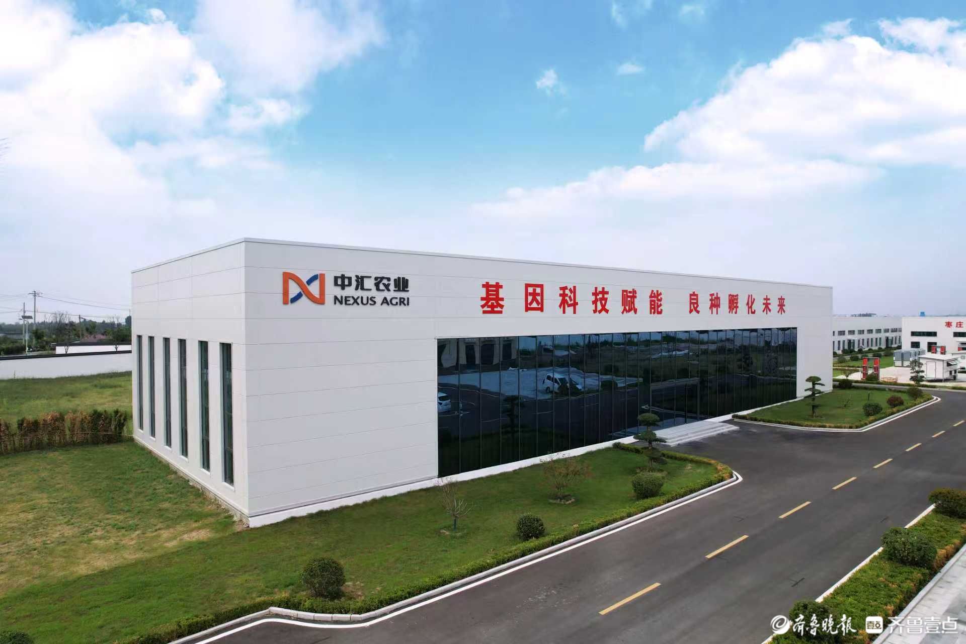 金羽栖乡野 富路通万家——孙枝鸡撑起枣庄乡村振兴一片天