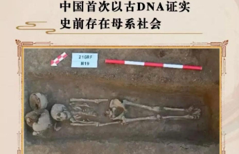 东营傅家遗址入选2025年度国际十大考古新闻