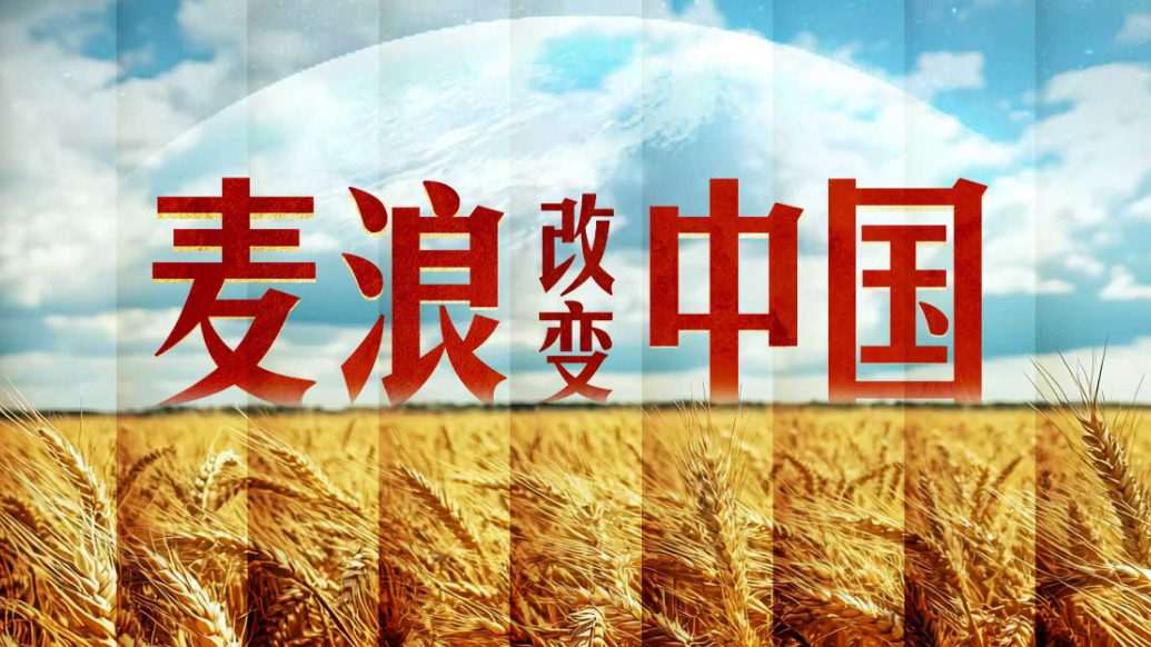 XR档案|麦浪改变中国