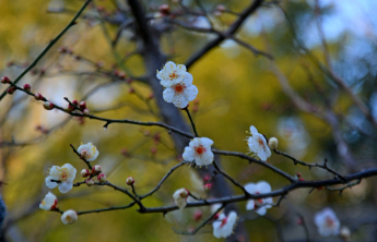 壹点日历12.27|与温暖不期而遇，被点滴幸福围绕！早安周末