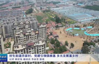 邹平市好生街道乔家村：党建引领强根基 多元发展富乡村