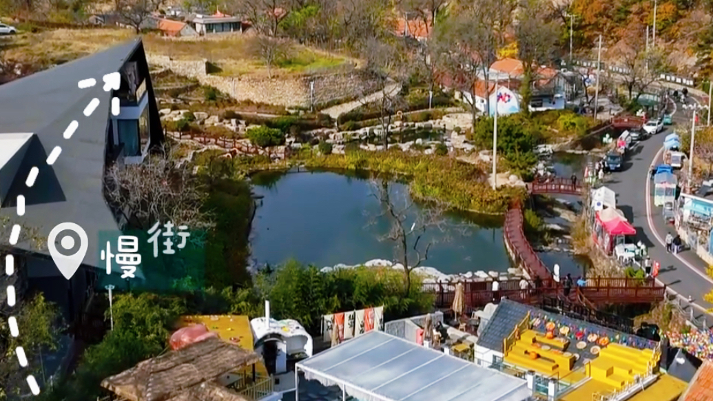 果然视频丨“鸥”遇环翠，“雪”舞浪漫，感受冬日里口山的慢生活