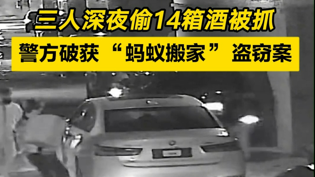 果然视频｜三人深夜偷14箱酒被抓！警方破获“蚂蚁搬家”盗窃案