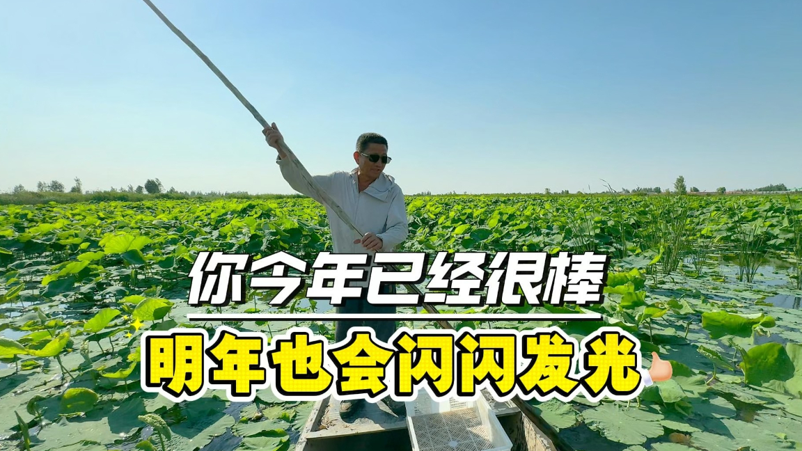 2026年，“齐鲁农超”陪你闪闪发光！