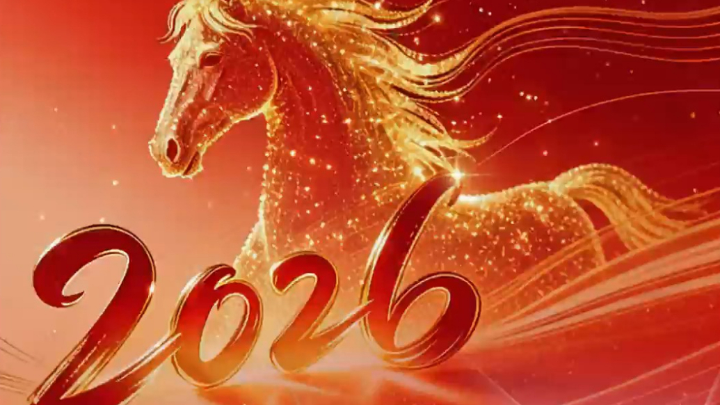 果然视频|齐鲁晚报·齐鲁壹点新年献词：躬身入局，不负时代