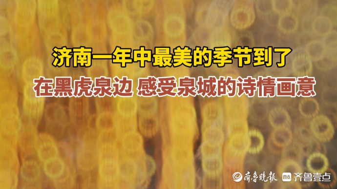 果然视频｜在黑虎泉边，感受泉城的诗情画意