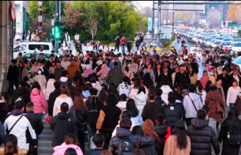 追光2025·万象｜教育向质而行，就业破龄而张