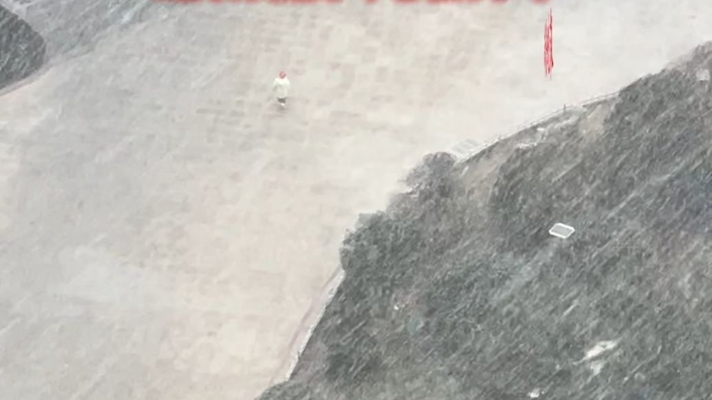 果然视频|“雪窝”元旦“不打烊”！新年第一天烟台飘雪花