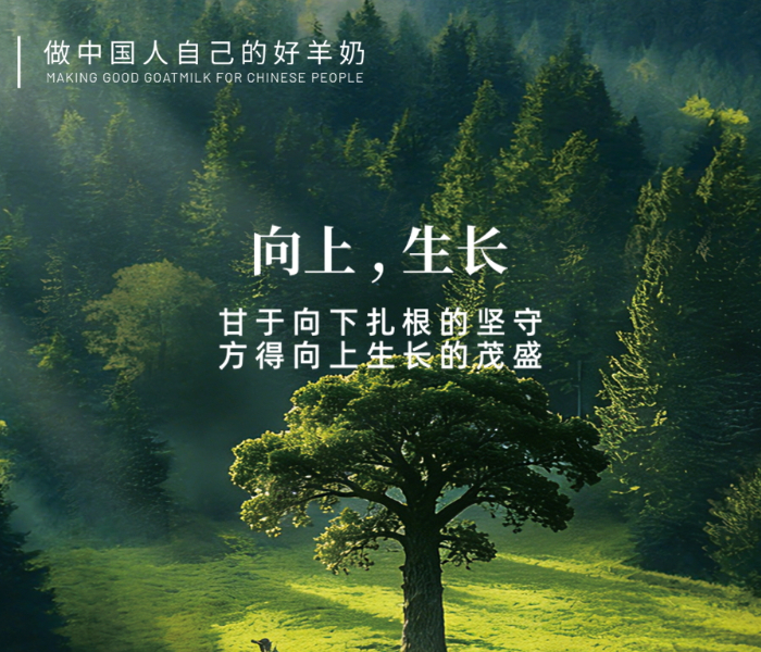 向下用力扎根，向上码力生长，贯穿于阳春三月羊奶2025的始终。站在岁末年初的特殊节点，让我们一起回望——