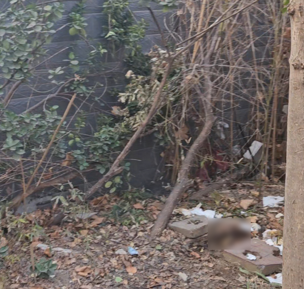 齐鲁晚报网-山东新闻门户 传播品质资讯