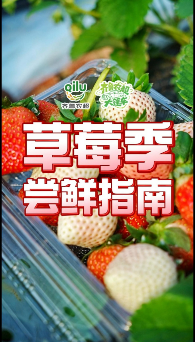 【草莓季尝鲜指南】这口惊艳的宝藏草莓安利给你！