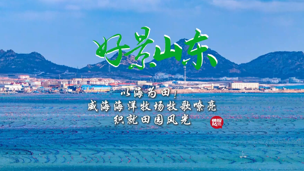 果然视频·好景山东|以海为田！威海海洋牧场织就独特田园风光