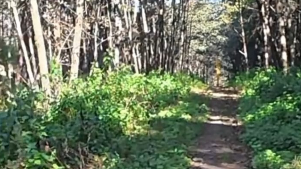 女子徒步抄近路误入坟地被困3小时，回看导航轨迹乱成“一团毛线”，“后怕！现在回想还是背脊发凉”