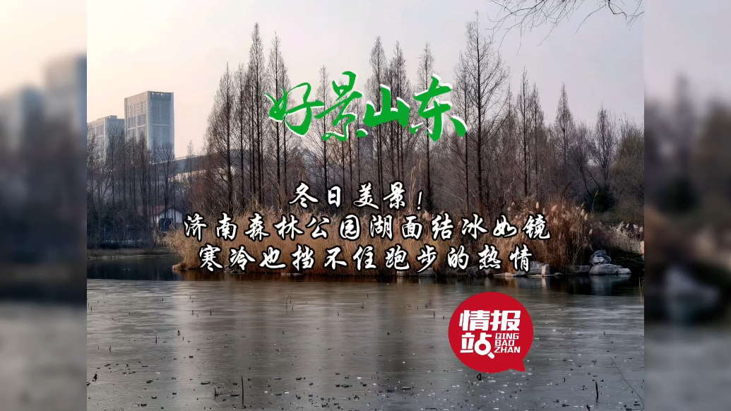 果然视频·好景山东|济南森林公园湖面结冰如镜，萧瑟中充满生机