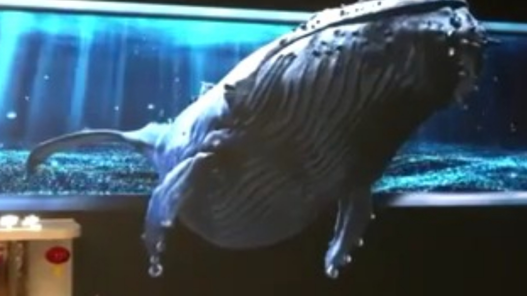 从“量”到“质”看好电影，我国LED影厅数量全球第一