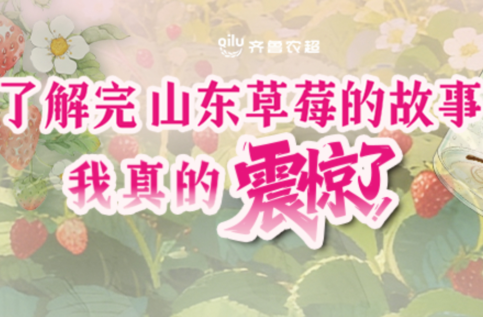 图说田间事儿｜了解完山东草莓的故事，我真的震惊了