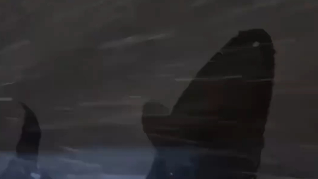 果然视频｜烟台凌晨海边的雪是横着飞的，带你感受风雪交加原声