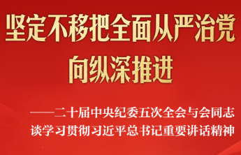 二十届中央纪委五次全会与会同志谈学习贯彻习近平总书记重要讲话精神