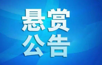 涉及民间借贷纠纷！东平县人民法院发布两则公告悬赏3人