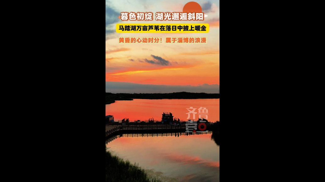 马踏湖万亩芦苇在落日中披上暖金，这是属于淄博的浪漫～