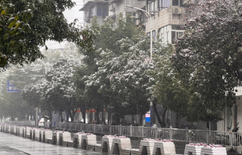 我省启动应急预警信息发布 全力应对寒潮雨雪天气