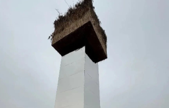 为鸟类拆除反光艺术装置，并非“小题大做”