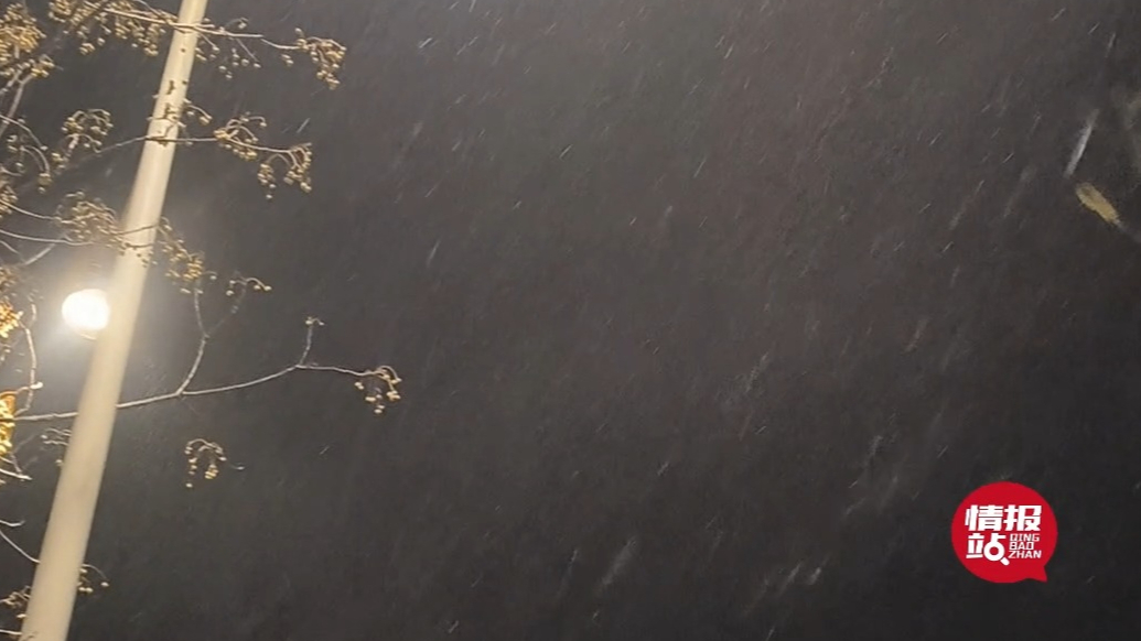 天气情报站|雪已开下！济南清晨雨雪飘落，路面湿滑出行注意安全