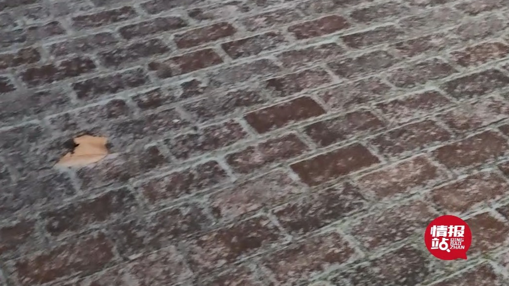 天气情报站|寒潮黄色预警！淄博雨雪已开下，气温偏低及时添衣