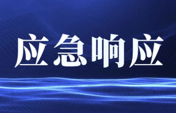 国家防减救灾办：针对四省启动国家低温雨雪冰冻灾害四级应急响应