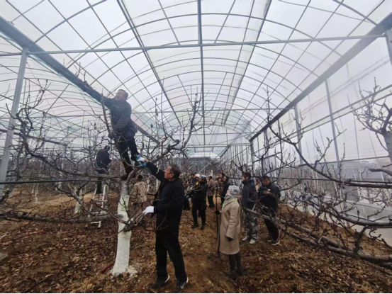 新泰市果都镇“百人千场进万站”文明实践示范宣讲活动走深走实