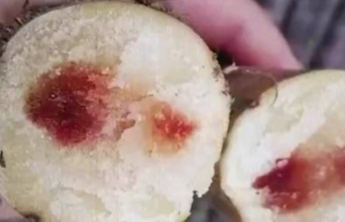 以为能吃，其实可能“有毒”的7种食物！提醒爸妈一定要扔