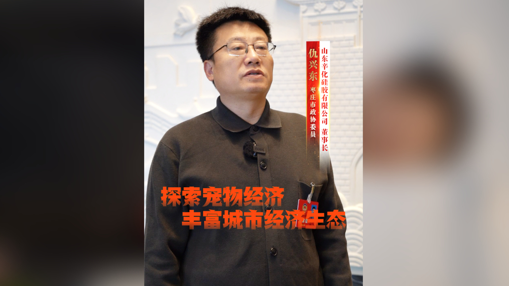 汇智聚力谱新篇，同心奋进新征程——聚焦2026枣庄两会