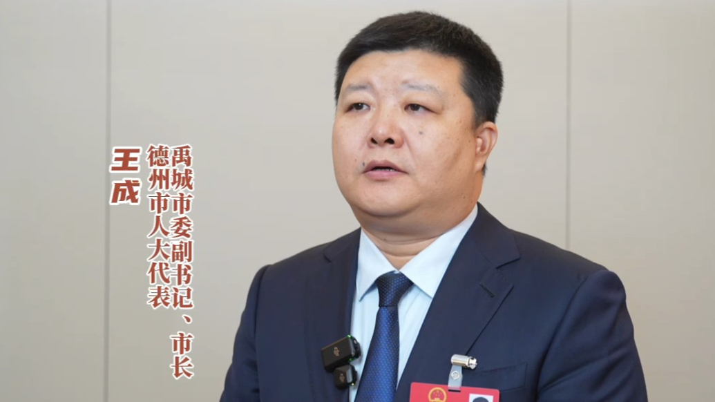 王成代表：以“项目提升年”掀起高质量发展热潮