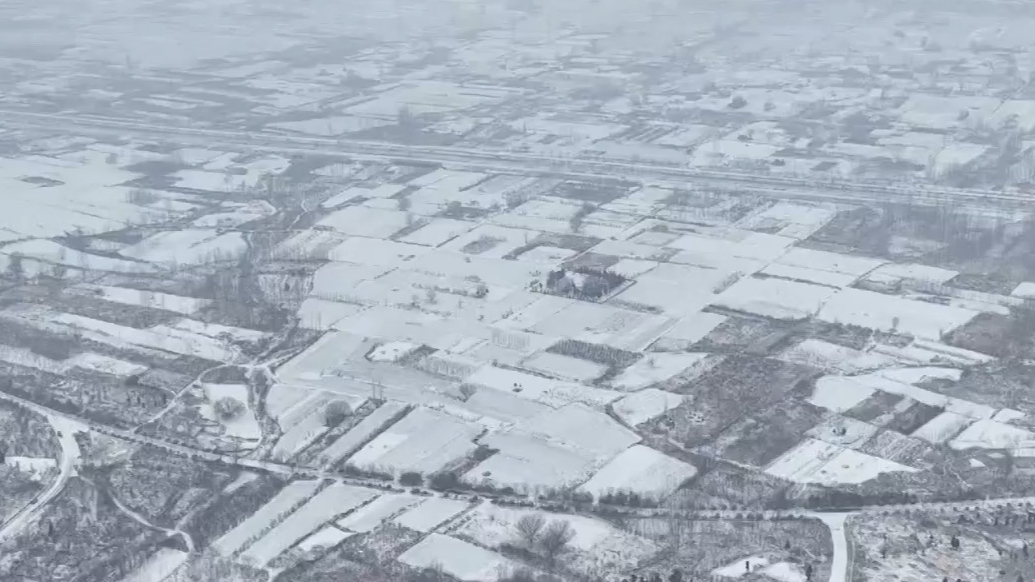 雪会时刻——2026枣庄暴雪专题报道