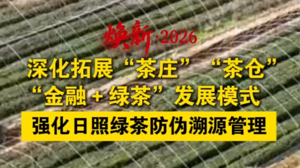 果然视频丨拓展绿茶发展模式，强化日照绿茶防伪溯源管理
