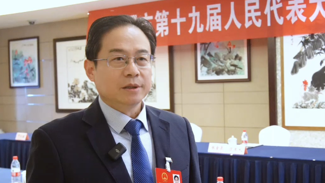 日照市人大代表张守标：实施教育数字化战略，推动AI赋能教育