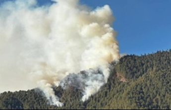 云南怒江丙中洛森林火灾东北方向明火已全部扑灭