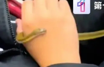 “地铁玩活蛇”越过了公共安全边界