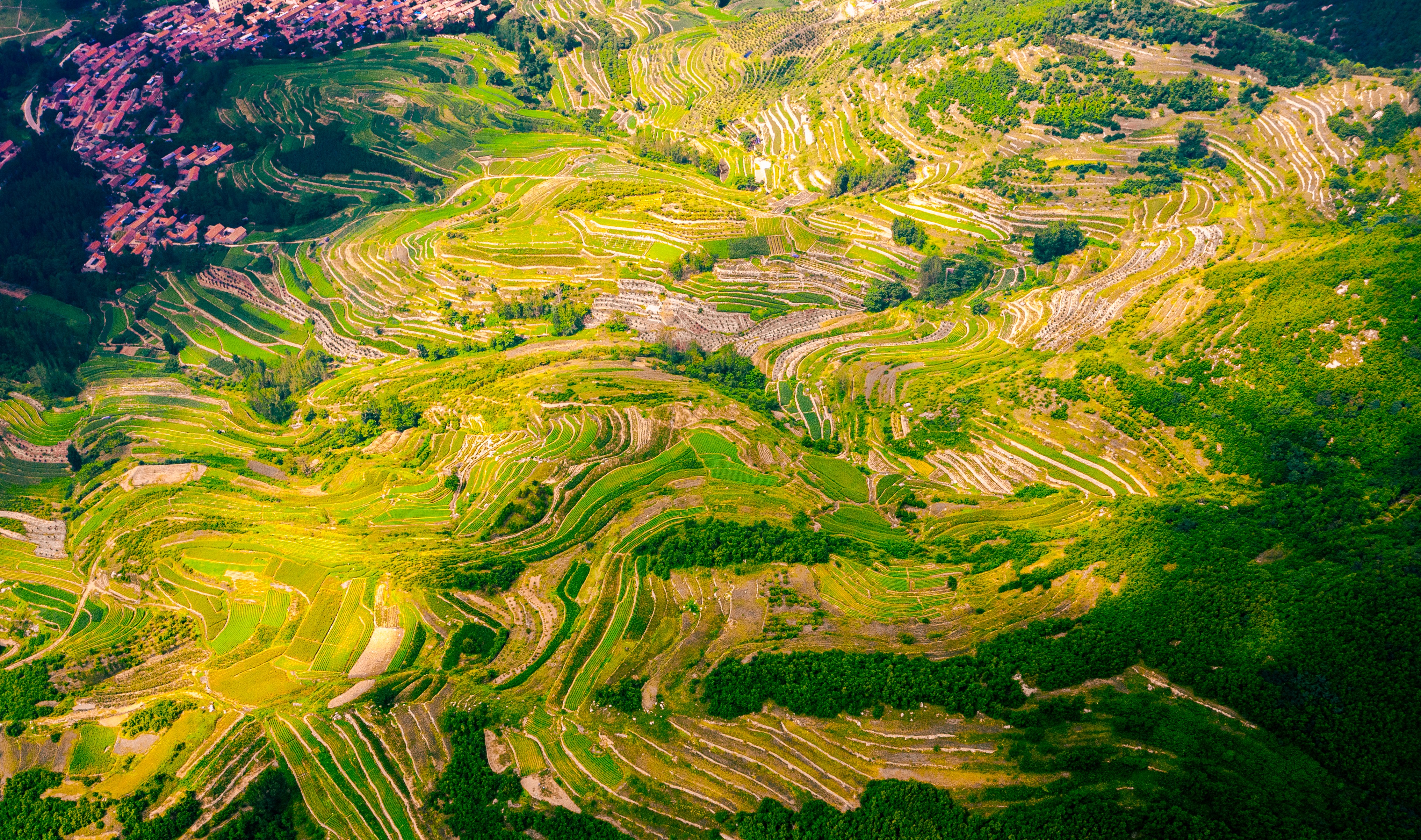 莒县龙山镇：生态建设打底 文旅发展出圈