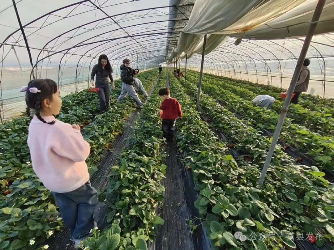 乡村振兴比翼齐飞，莒县小店“点绿成金”