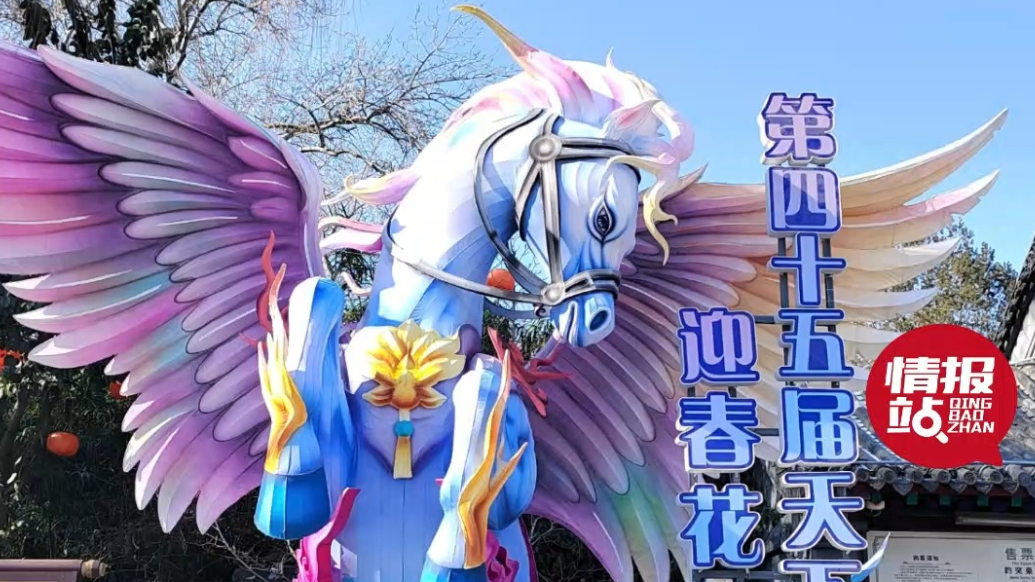 情报站|马元素亮眼！济南趵突泉花灯火热布展中，情报员提前探秘