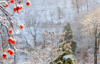气温骤降急诊患者增加 这些疾病要特别警惕