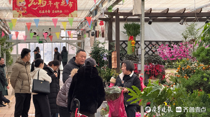 果然视频|“花漾齐鲁·喜迎新春”2026年宵花市启动