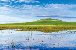 新阅读|草场上的一年又一年